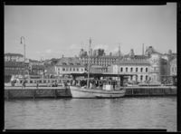 10. "Jenev" - no-nb digifoto 20151130 00310 NB MIT FNR 14125.jpg