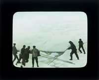 61. "Veslekari-ekspedisjonen", 1928. Mannskap forsøker å skyve unna skruis - no-nb digifoto 20160121 00013 bldsa veslekari p19.jpg