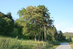 «Granhagen» på Vaskinn.jpg