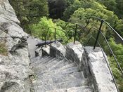 Motiv frå trappa med 418 trinn opp frå byparken til Fjellstua på Aksla. Foto: Elin Olsen