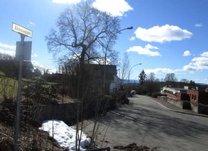 Ålmoveien Oslo 2015.jpg