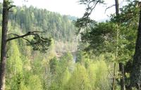 Åmotdammen med badeplassen sett fra Østbyåsen i Lørenskog.