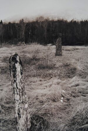 Årbakka felt med bautasteinar bilete nr 1.jpg