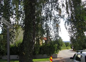 Årrundveien Oslo 2013.jpg