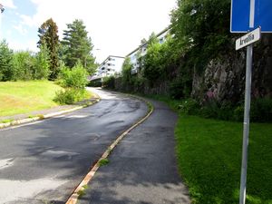 Årvollia Oslo 2015.JPG