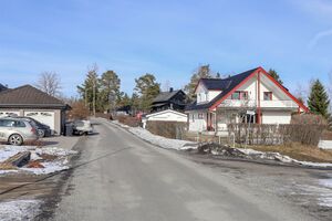 Ås Elgfaret 230310.jpg