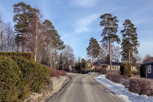 Ås Solbergskogen 230310.jpg