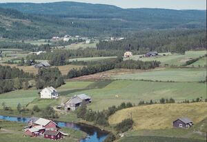 Åvang Bingsdalen Brandval vestside 1962.jpg