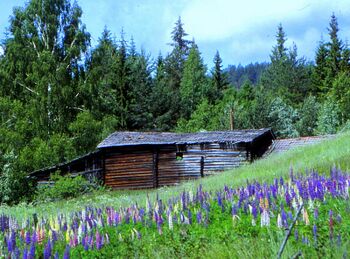 Ødegården (Modum gnr 146 husmannsplass).jpeg