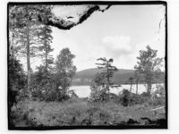 Et skogstjern. Men hvor? Foto: Marthinius Skøien (omkr. 1880-1910).