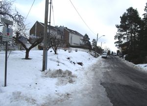 Østbyfaret Oslo 2015.jpg