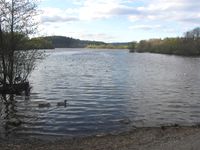 Østensjøveien passerer øst og sør for Østensjøvannet. Foto: Stig Rune Pedersen