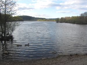 Østensjøvannet Oslo 2012.jpg