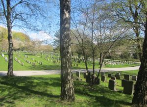 Østre Aker kirkegård 2012.jpg