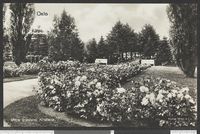 151. Østre Gravlund, Kristiania - no-nb digifoto 20151214 00011 bldsa PK12645.jpg