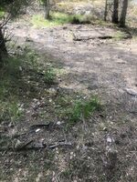 Østre hjørne sett mot sørvest.