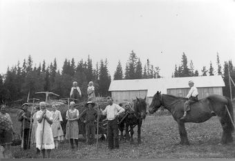 Øveråsen (garden).jpg