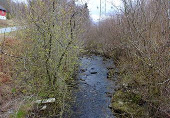 Øverlandselva Bærum ved Åsterudveien 2016.jpg