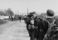 194. Øvre Eiker under andre verdenskrig (oeb-1935249.jpg