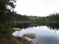 Øvre Fisketjenn, med Fisketjennshallen i bakgrunnen.