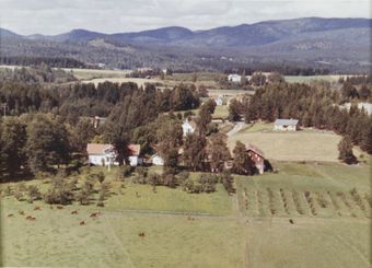 Øvre Hoen - WF166.jpg