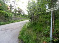 Motiv fra Øvre Ljanskoll vei. Foto: Stig Rune Pedersen