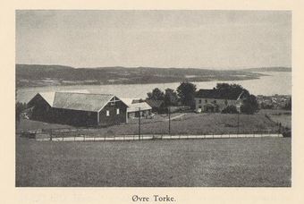 Øvre Torke.jpg