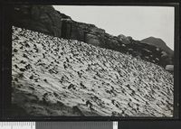 154. ... (1100m aus ... des Bitihorn von Hotel Bygdin - no-nb digifoto 20160331 00072 bldsa NGU0137.jpg