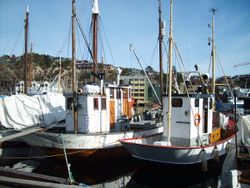 Fiskebåtar ved kai. Foto: Olve Utne (2007).