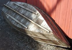 Kokse. Foto: Olve Utne (2007).