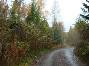 01a-gammel-vei Næroset.JPG