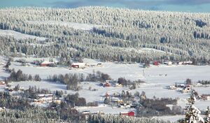 021118-1059-27 - Skundberg, Nedre Snertingdal.jpg