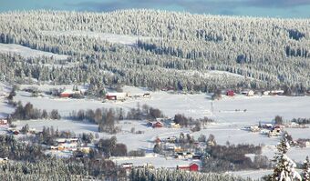021118-1059-27 - Skundberg, Nedre Snertingdal.jpg