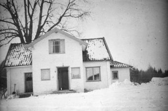 0217-0270005 Hvitebjørn.jpg