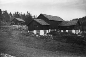 0217-0280068 vassbonn.jpg