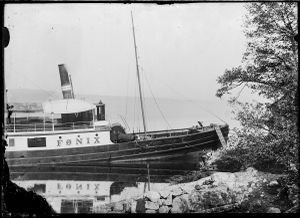 0217-0460048 dampbåten føniks ved brygga.jpg