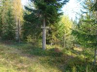 Stien fra Monslykkja møter skiløypetraseen.