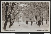 176. 07 Slotsparken, Christiania - no-nb digifoto 20151109 00105 bldsa PK08160.jpg