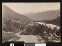 253. 1000. Opdal, Parti mellem Rise og Drivstuen - no-nb digifoto 20160106 00025 bldsa AL1000.jpg