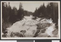 281. 1009 Fra Nesnafossene - no-nb digifoto 20150814 00029 bldsa PK26280.jpg