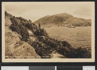 286. 101 Nordnæsparken, Puddefjorden, Bergen-Norge - no-nb digifoto 20160125 00150 bldsa PK16415.jpg