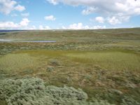 Foto: Olve Utne, 2009.