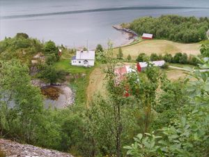 1046 Blomtuaa paa Stabblandet.jpg