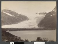 359. 1049. Nordland, Svartisen - no-nb digifoto 20160105 00014 bldsa AL1049.jpg
