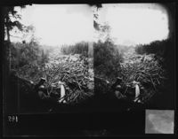 353. 104 ny. Hattfjelldalen. Fiskløselv. Tømmerfløtning. Stereoskop - NB bldsa OTO0195 A.jpg