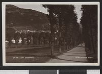 380. 106 Fra Bergenshus - no-nb digifoto 20160125 00065 bldsa PK16393.jpg