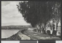 142. 106 Hamar. Stangebroen - no-nb digifoto 20150629 00228 bldsa PK25578.jpg