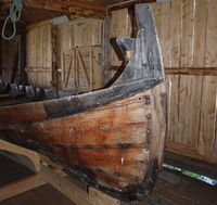 Framstamn av åttring på Kjerringøya. Foto: Olve Utne (2009).