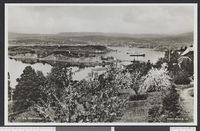 231. 10 Oslo fra Bekkelaget - no-nb digifoto 20151217 00220 bldsa PK05562.jpg