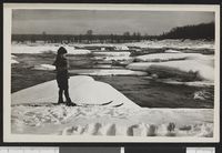 69. 110 Glommen ved Elverum - no-nb digifoto 20150731 00313 bldsa PK24765.jpg